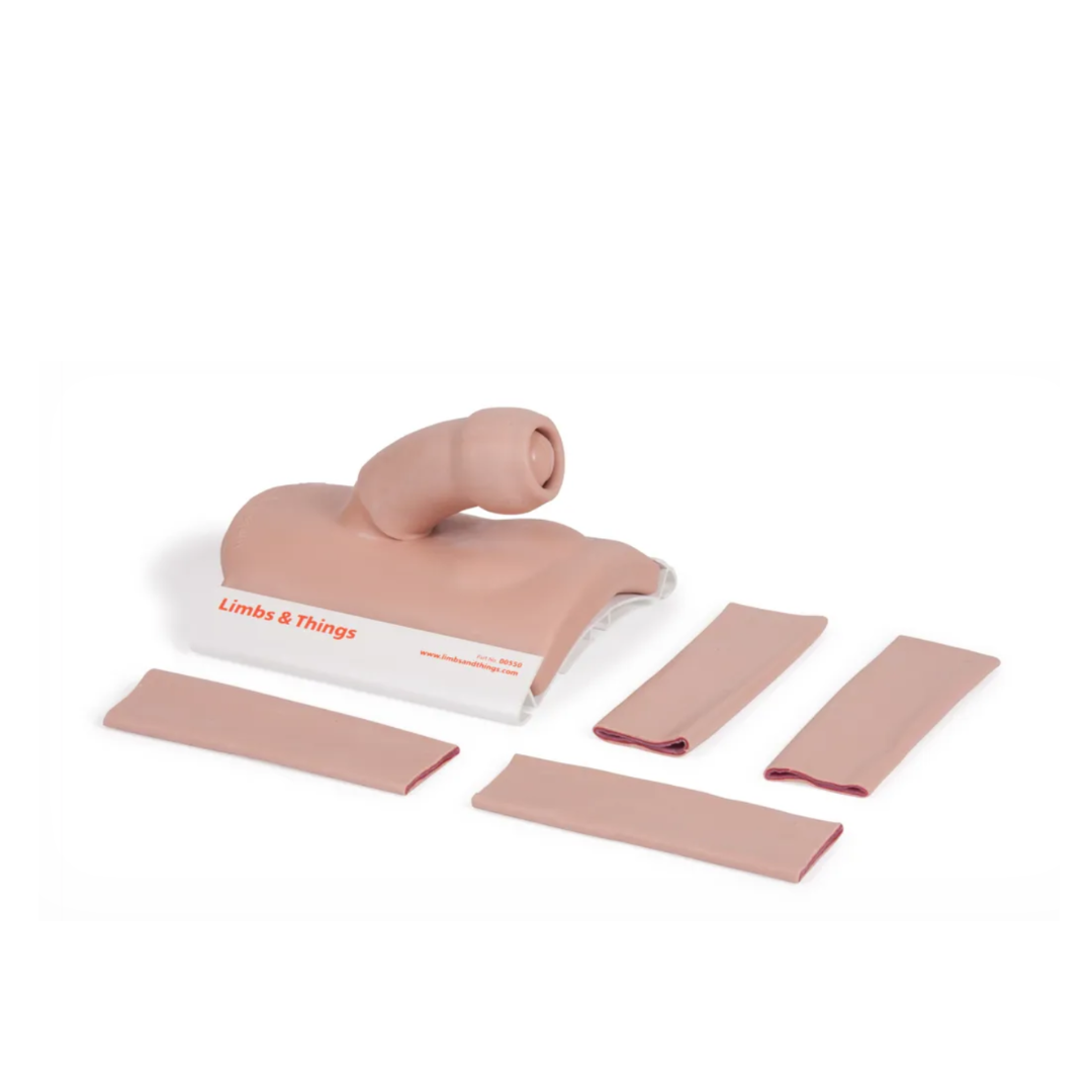 Adult Male Circumcision Trainer 60395