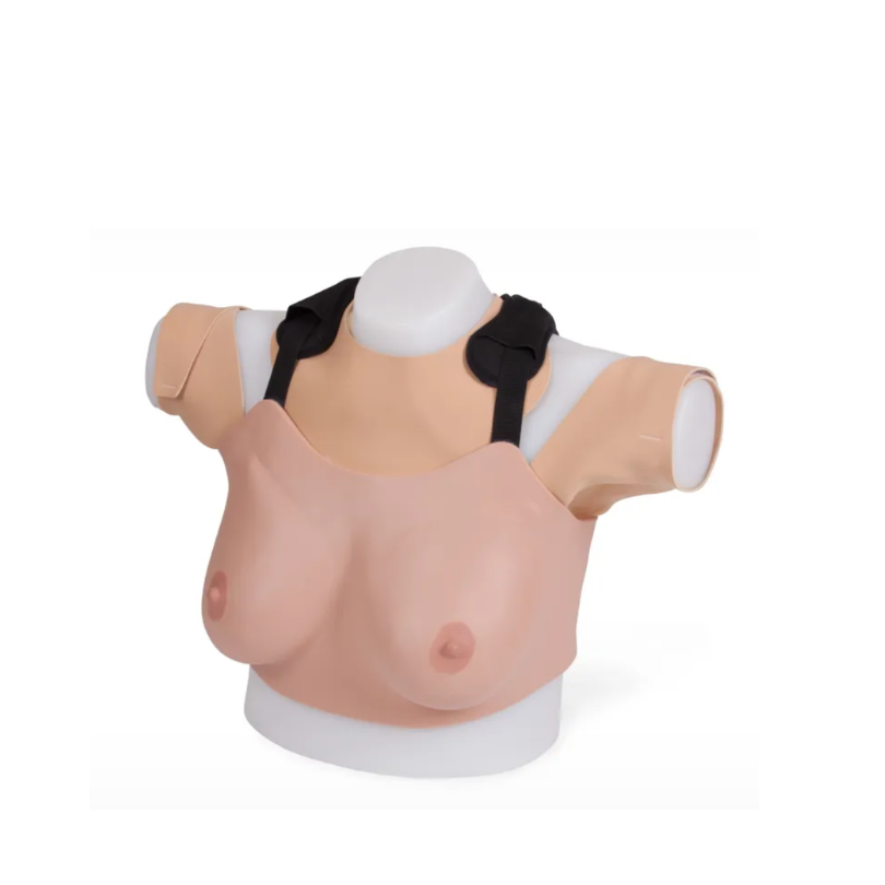 Advanced Breast Examination Trainer 40201