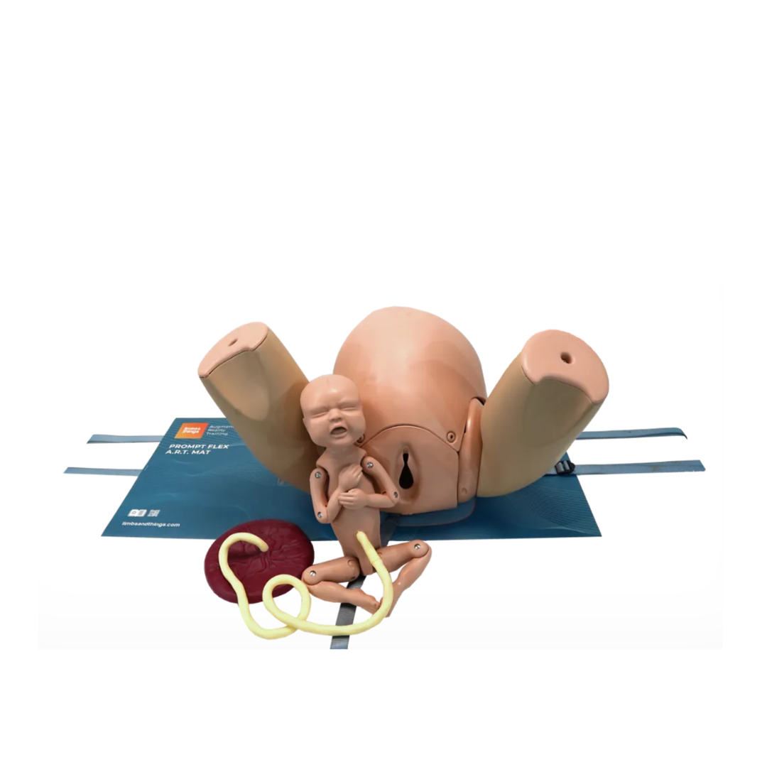 Birthing Simulator PROMPT Flex - Standard - Includes AR Augmented Reality 80100
