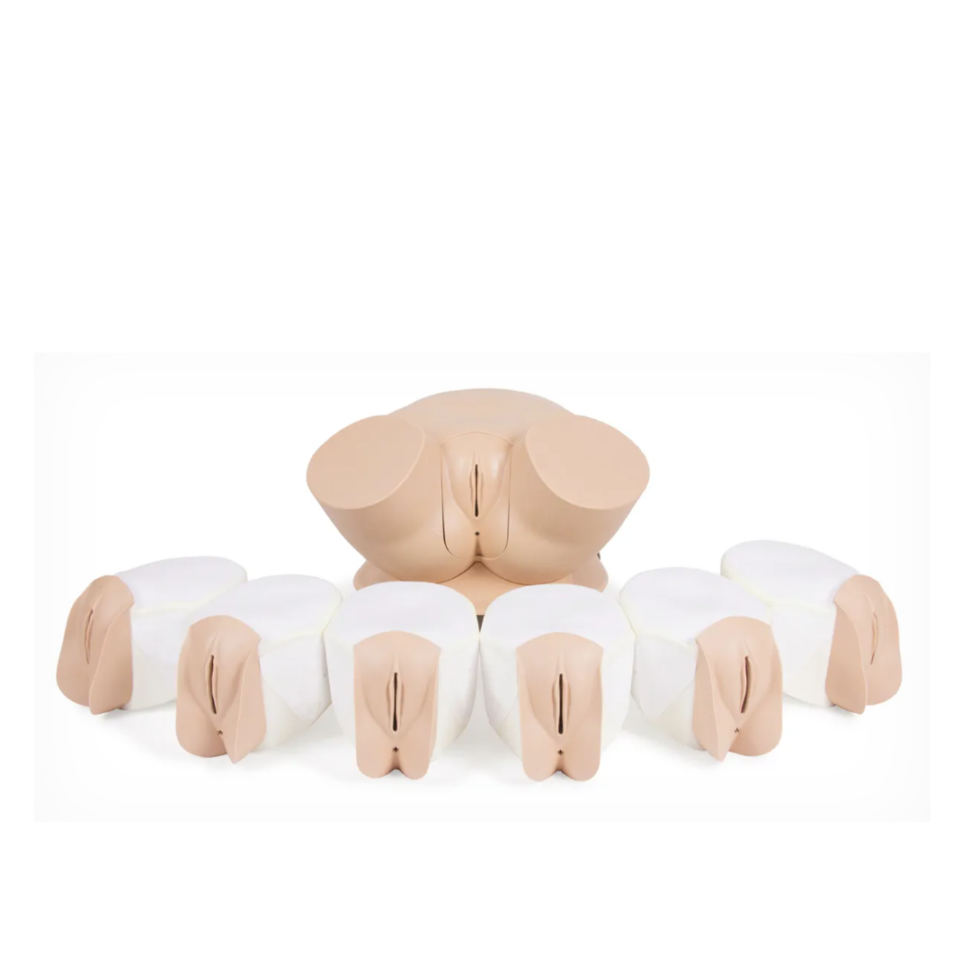 Clinical Female Pelvic Trainer Mk 3 (CFPT) - Advanced 60905