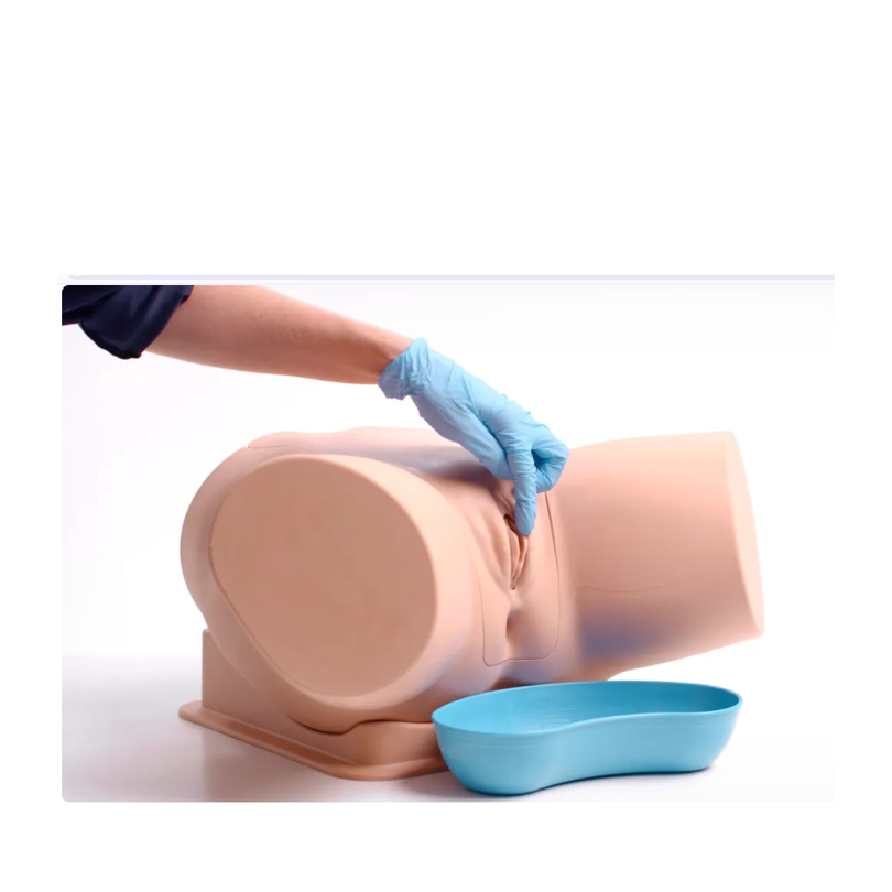 Female Catheterization Trainer with Augmented Reality 60851